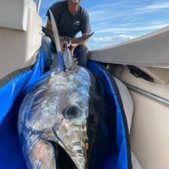 Calcutta Tuna Blanket