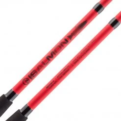 Ready2Fish Salmon Spinning Combo