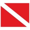 Shoreline Marine Dive Flag