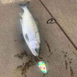 Danielson Fishing Gear Night Fight™ Super Glow Spoons